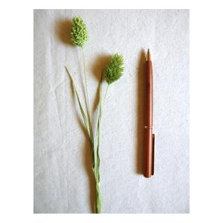 【荒木雕塑藝品】紅豆杉原子筆(小)