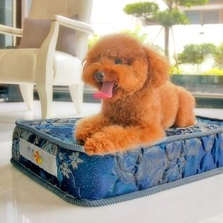 【凱蕾絲帝】寵物專用獨立筒彈簧床墊(大-60*90*11cm)