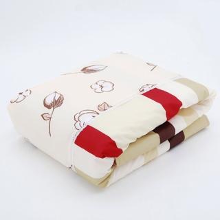 繽紛彩色銀離子抗菌涼被145x180