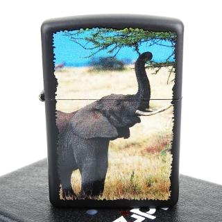【ZIPPO】美系-Elephant-大象圖案設計打火機