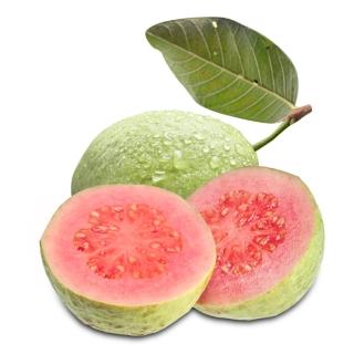 【果之家】燕巢紅心芭樂5台斤(1箱/約6-8顆)