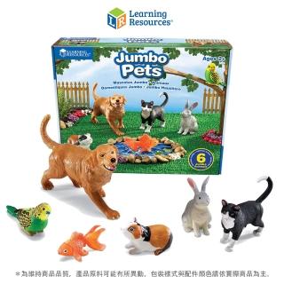 【美國教學資源】超大家庭寵物6入(LER0688)