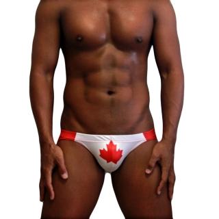 【Neptune Scepter】新質感/超低腰立體剪裁三角泳褲(新加拿大608)