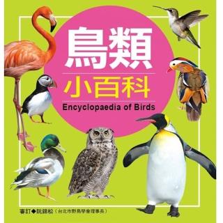 【恐龍親子寶貝】鳥類(小百科)