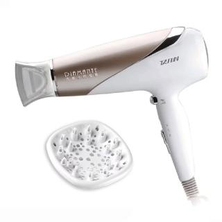 【達新牌】皇家級負離子專業吹風機(TS-601)