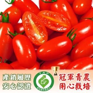 【鮮果有邑】美濃嚴選薄皮香甜爆汁玉女小蕃茄禮盒-4盒