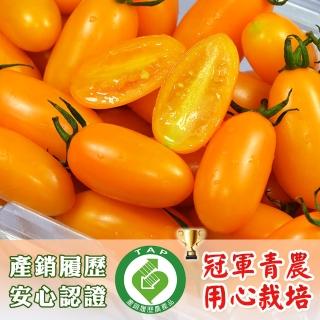 【鮮果有邑】美濃嚴選雙認證薄皮香甜爆汁金瑩小蕃茄禮盒4箱(共16斤)