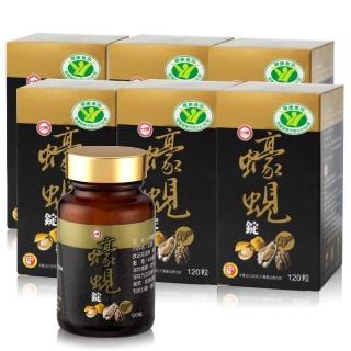 【台糖】蠔蜆錠6入組(送活力人蔘飲12瓶)