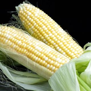 【鮮採家】爆汁香甜水果玉米10台斤1箱(約18-25支)