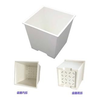 【005-D111-WI】四方型栽培盆4吋-白色(厚)