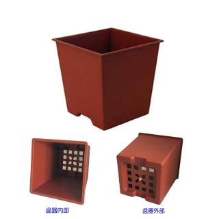 【005-D110-RE】四方型栽培盆3吋-磚紅色(厚)