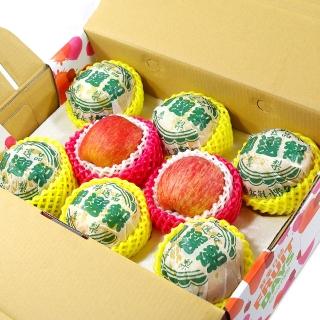 【鮮果日誌】平安順利祝福禮盒(智利蘋果2入+台灣梨6入)