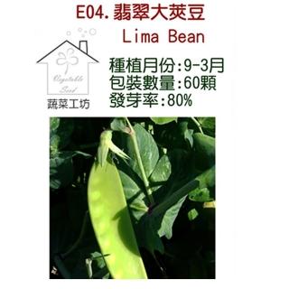 【蔬菜工坊】E04.翡翠大莢豆種子(改良種)