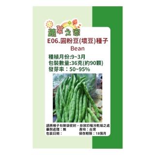 【蔬菜工坊】E06.圓粉豆種子(壞豆)