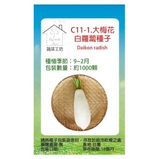 【蔬菜工坊】C11.梅花白蘿蔔種子