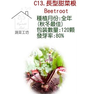 【蔬菜工坊】C13.長型甜菜根種子