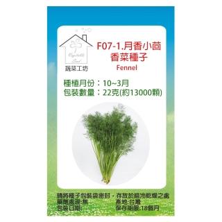 【蔬菜工坊】F07.茴香菜種子 22克(約14600顆)