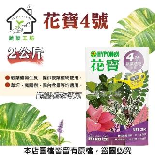 【蔬菜工坊002-B02】花寶4號2公斤