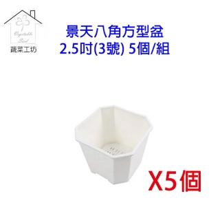 【蔬菜工坊005-D116-WI5】景天八角方型盆2.5吋-白色-5個/組(3號)