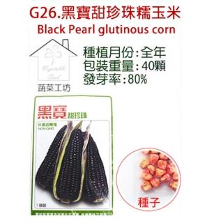 【蔬菜工坊】G26.黑寶甜珍珠糯玉米種子