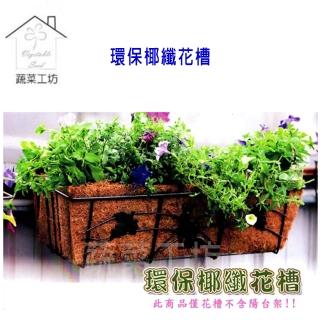 【蔬菜工坊】2尺環保椰纖花槽