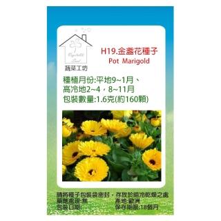 【蔬菜工坊】H19.金盞花種子(黃色、高20-30cm)