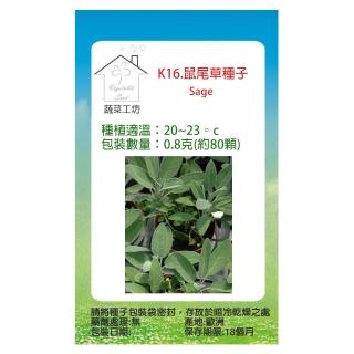 【蔬菜工坊】K16.鼠尾草種子