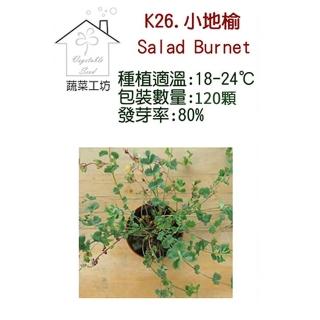 【蔬菜工坊】K26.小地榆種子