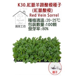 【蔬菜工坊】K30.紅脈羊蹄酸模種子(紅脈酸模)