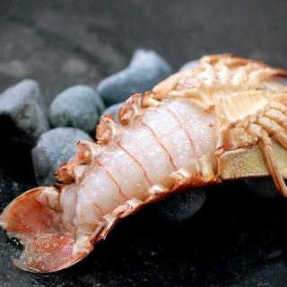 【優鮮配】斯里蘭卡頂級蝦姑12隻(200g-250g/隻)