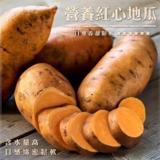 【WANG 蔬果】台農66號紅心地瓜(10斤±10%)