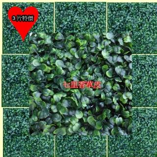 【園藝世界】七里香草皮3入