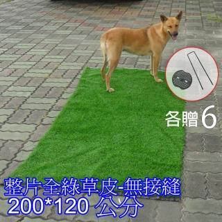 【園藝世界】人造草皮大200*120公分