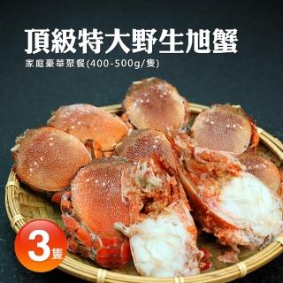 【築地一番鮮】嚴選野生特大母旭蟹3隻(400-500g/隻)