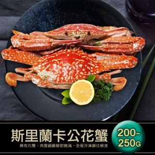 【築地一番鮮】斯里蘭卡生凍公花蟹5隻(200-250g/隻)
