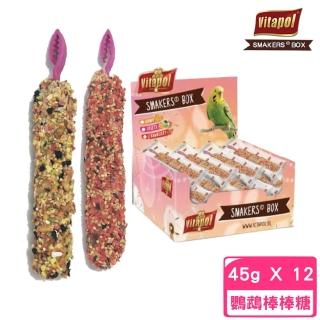 【Vitapol】小型鸚鵡棒棒糖《綜合水果｜草莓》45g(12入)
