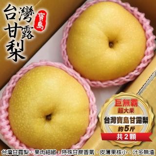 【WANG 蔬果】嚴選苗栗出產大顆秋水梨(10顆/每顆約400~450g±10%)