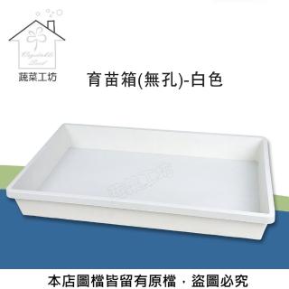 【蔬菜工坊】育苗箱-無孔-白色(育苗盤.芽菜箱.可當四方型栽培盆端盤)