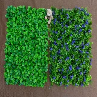 【園藝世界】植牆草皮-40*60 CM