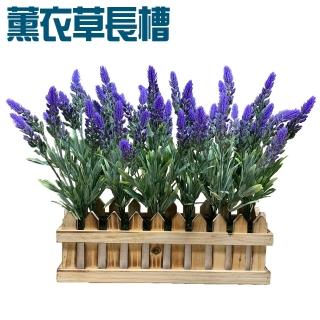 【園藝世界】人造花-花朵長槽盆
