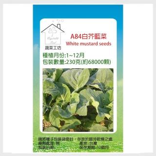 【蔬菜工坊】A84.白芥藍菜種子
