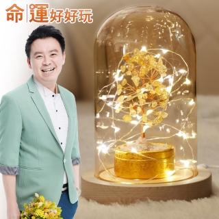 【命運好好玩】小孟-財氣滿星斗致富燈