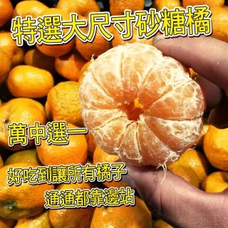 【台灣紅】迷你珍珠砂糖橘(5斤裝/箱)
