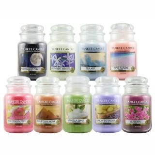 【YANKEE CANDLE】香氛蠟燭623g 多款可選