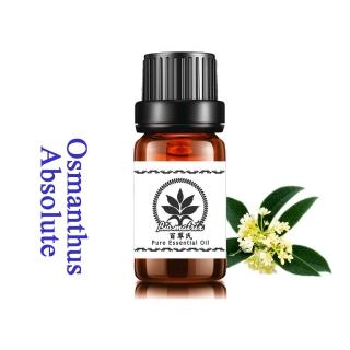 【百翠氏】桂花絕對精油原精3% -5ml(潤甜蜜花優雅的香味令人沈醉)