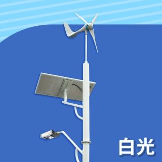 【DIGISINE】DS-001 風光互補智能路燈-12V系統/2000流明/白光(太陽能發電/風力發電機/戶外照明路燈)