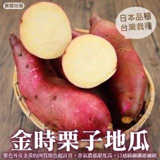 【WANG 蔬果】日本品種金時栗子地瓜(6斤±10%)