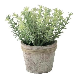 【SPICE】日本雜貨 人造香草盆栽擺飾-芹菜(假盆栽/ 造型香草)