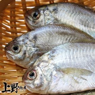 【上野物產】越南野生肉魚 x40隻(75g土10%/隻)
