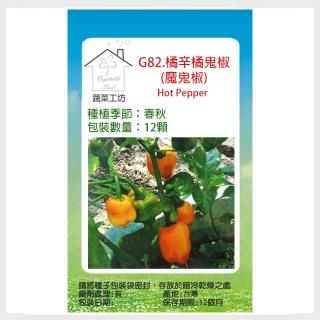 【蔬菜工坊】G82.橘辛橘鬼椒種子12顆(魔鬼椒)